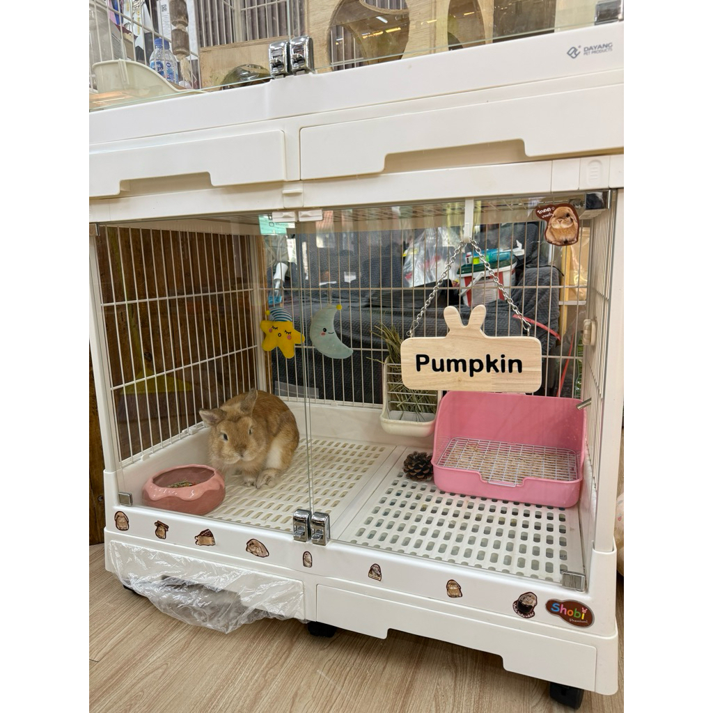 [khunnoohamster] กรงกระต่าย R81 Pro (รุ่นพั้มพ์กิ้น) รุ่นหน้าประตูกระจกนิรภัย ถาดด้านล่างดึงออกได้ ม