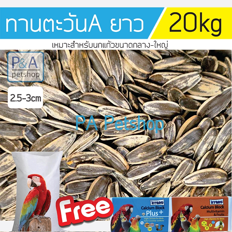 [ยกกระสอบ 20KG] ทานตะวัน A_เม็ดใหญ่ รุ่นยาว / อาหารนกแก้ว และสัตว์ฟันแทะ[ฟรีของแถมHygro 2ก้อน]