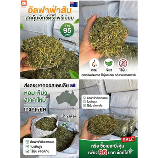 RabbitHill หญ้าอัลฟาฟ่าสับ🔥เกรดพรีเมียมจากออสเตรเลียเขียวใบเยอะหญ้ากระต่ายและแกสบี้