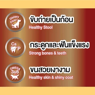 [500 กรัม] Bingo Star Yummy Stick ขนมสุนัขเกรดพรีเมียม แบบแท่ง บำรุงขน เสริมกระดูก