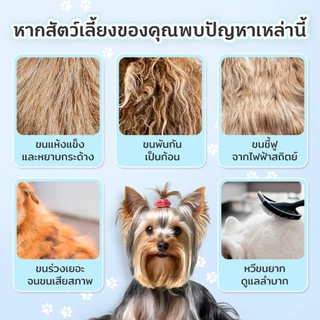 Petcho สเปรย์คลายขนสังกะตัง ไม่มัน ช่วยคลายขนที่พันกัน พร้อมเสริมความเงางามให้เส้นขนสุขภาพดี