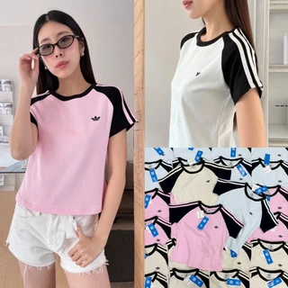 🍊 VL 5272 เสื้อยืดทรงพอดีตัว แต่งแถบ สีสวย ผ้าดี