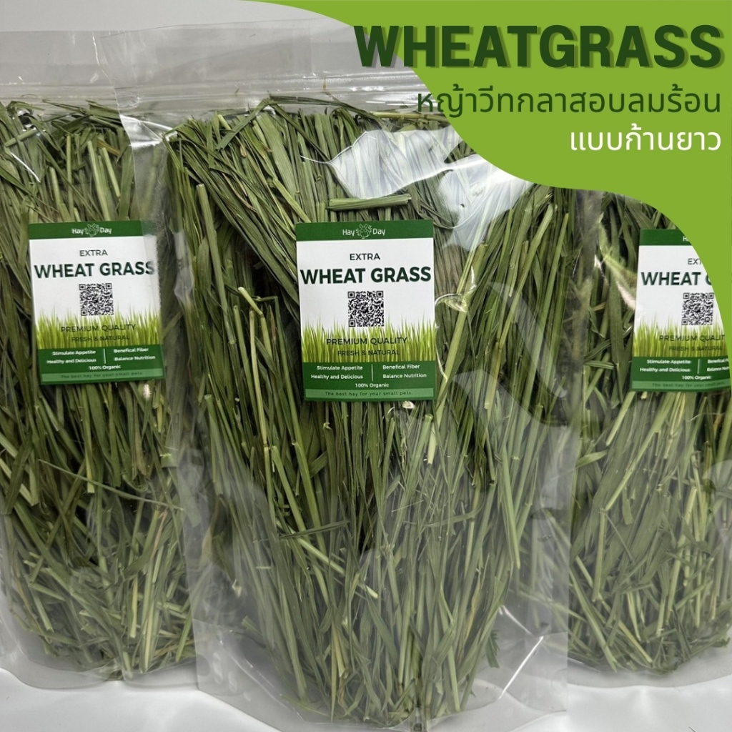 ✿หญ้าวีทกลาส✿ Wheatgrass อบลมร้อน คัดพิเศษ เกรดพรีเมี่ยม สำหรับกระต่ายและสัตว์ฟันแทะทุกชนิด