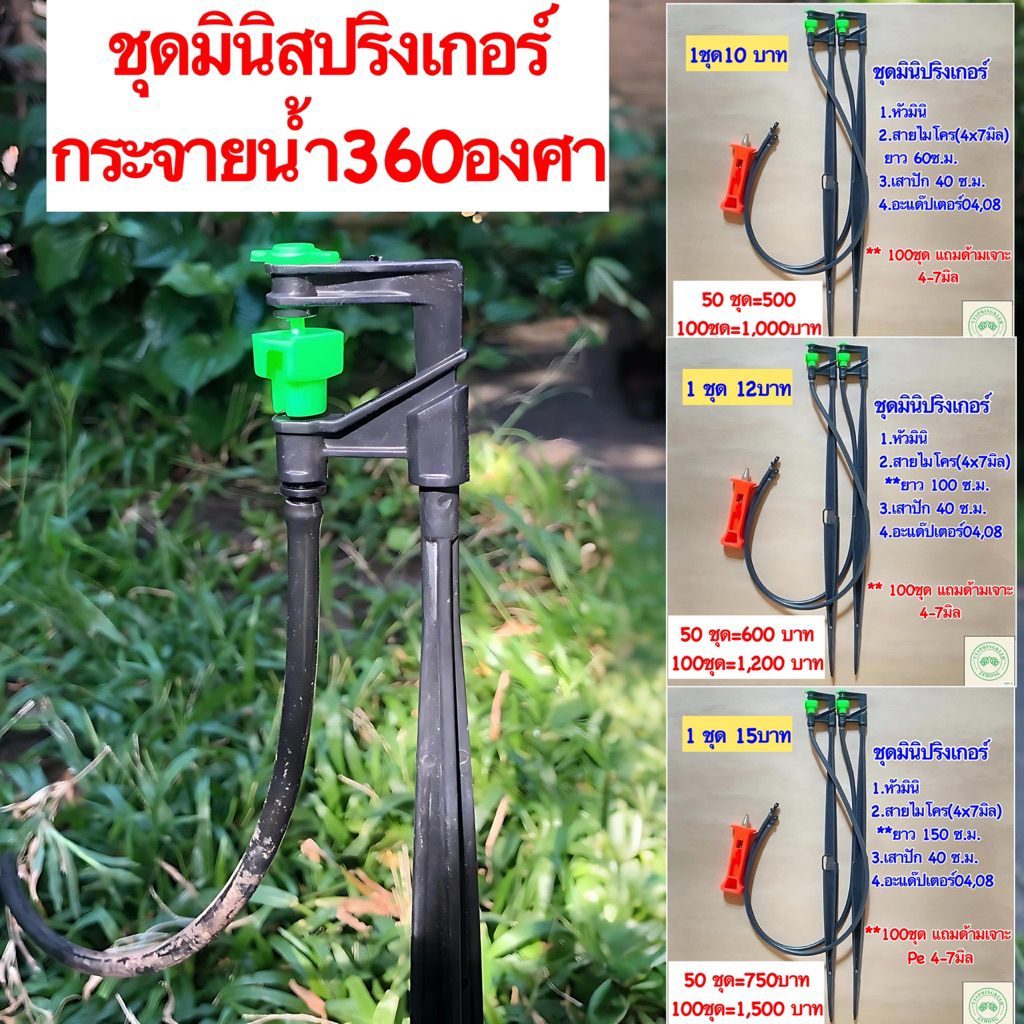 ชุดมินิสปริงเกอร์ขาปักพร้อมใช้งาน แพค50ชุด