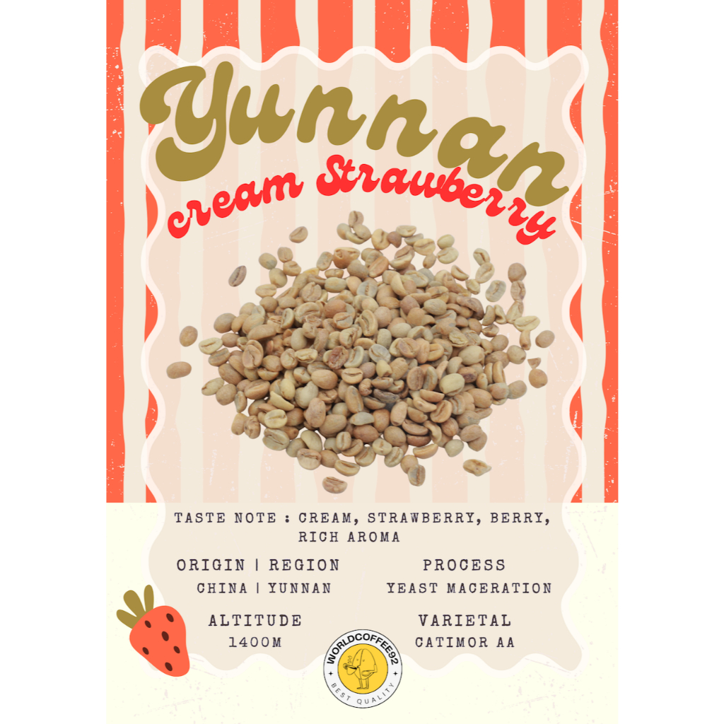 🚚พร้อมส่ง💯 เมล็ดกาแฟดิบ Yunnan Cream Strawberry Yeast Maceration process เมล็ดกาแฟนอก สารกาแฟยูนนาน