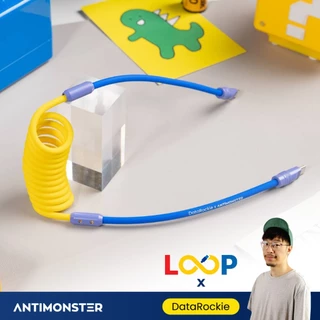 สายชาร์จ LOOP Collab /02 DataRockie 240W Type-C Fast Charging