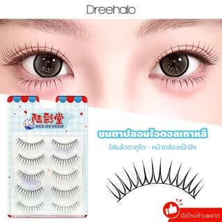Dreehalo ขนตาปลอมแกนดำ ลุคเกาหลี ธรรมชาติ ตาคมมีมิติ เบาสบาย ขึ้นกล้องสวย F311