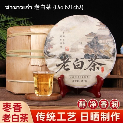 ชาขาวเก่ายูนนาน (Lǎo bái chá) – กลิ่นหอมพุทราจีน กรรมวิธีตากแดดแบบดั้งเดิม