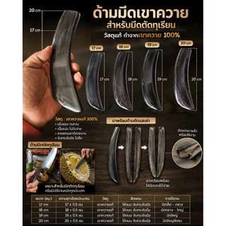 ด้ามเขาควายสำหรับใส่ใบมีดตัดทุเรียน ใบมีดใช้งาน