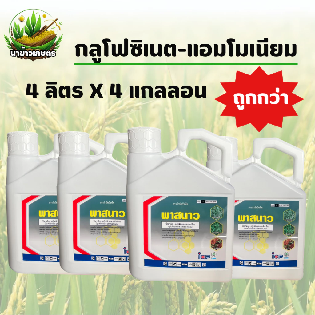 พาสนาว กลูโฟซิเนต-แอมโมเนียม 4ลิตร x 4แกลลอน กำจัดวัชพืชประเภทใบแคบ เเละวัชพืชประเภทใบกว้าง