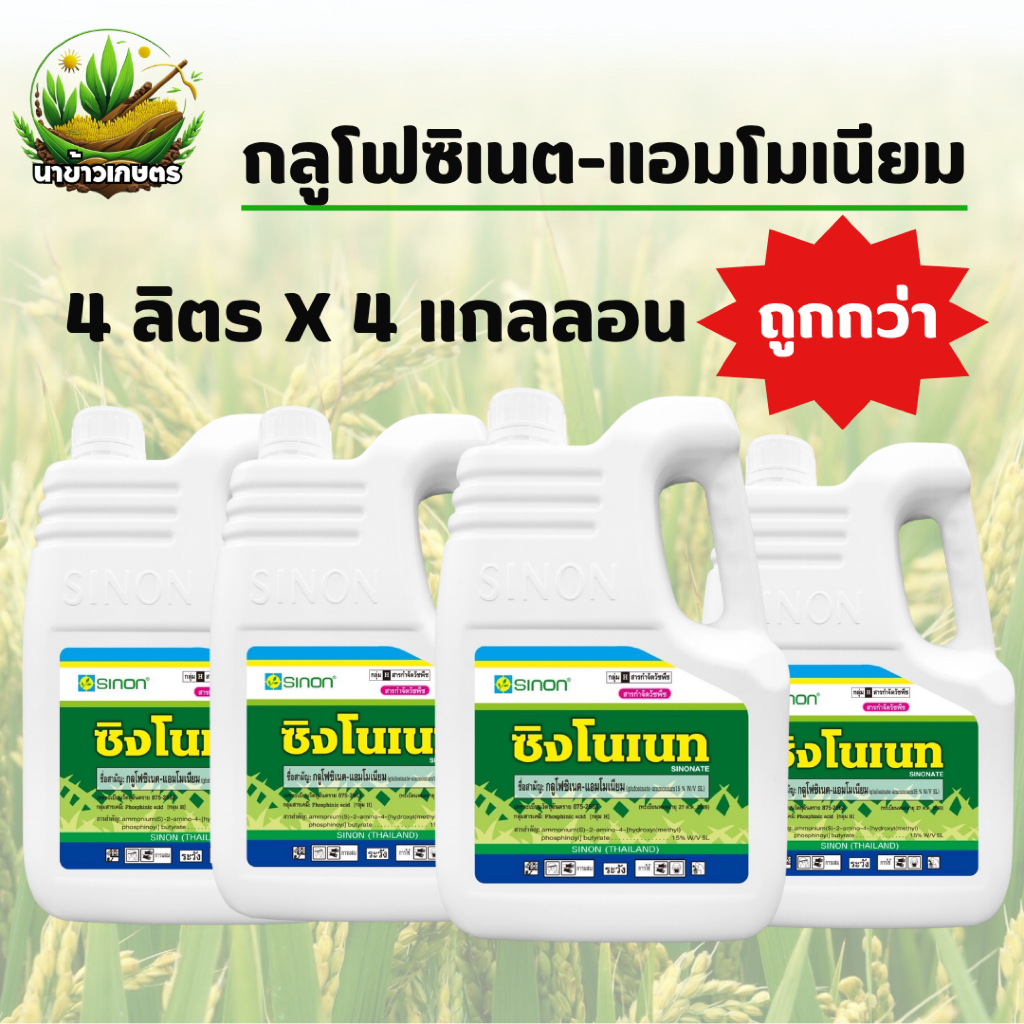 ซิงโนเนท 4ลิตร x 4แกลลอน (กลูโฟซิเนต-แอมโมเนียม) สารกำจัดวัชพืชใบแคบและใบกว้าง