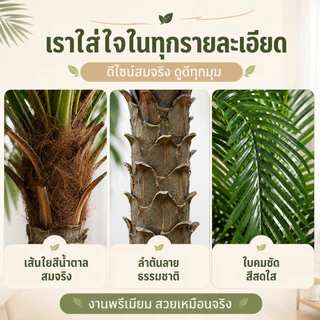 🌴รุ่นอัพเกรด ก้านหนา🌴ต้นมะพร้าวเทียม 130/160/180CM ต้นไม้เทียม โดนฝนและแดด ทนทาน ต้นไม้ปลอมใหญ่