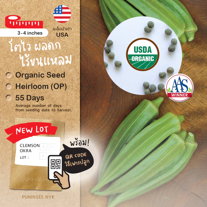 🏅เมล็ดนำเข้า เมล็ดกระเจี๊ยบ เขียว Clemson Spineless Okra seed (Organic Seed) AAS ไร้ขนแหลม ปันอินทรีย์
