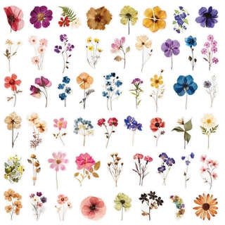 [พร้อมส่ง] 650+ แบบ PET สติกเกอร์ DIY ขอบใส ดอกไม้ ใบไม้แห้ง คลาสสิค หลายแบบ ใช้ตกแต่ง Dried Flower Leaf Sticker กันน้ำ