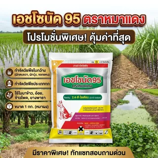 เอชโซนัด 95 ตราหมาแดง ขนาด 1 กก. ใบกว้าง หมาผง 2-4-ดี หมาแดงผง 2,4-ดี โซเดียม ซอลต์