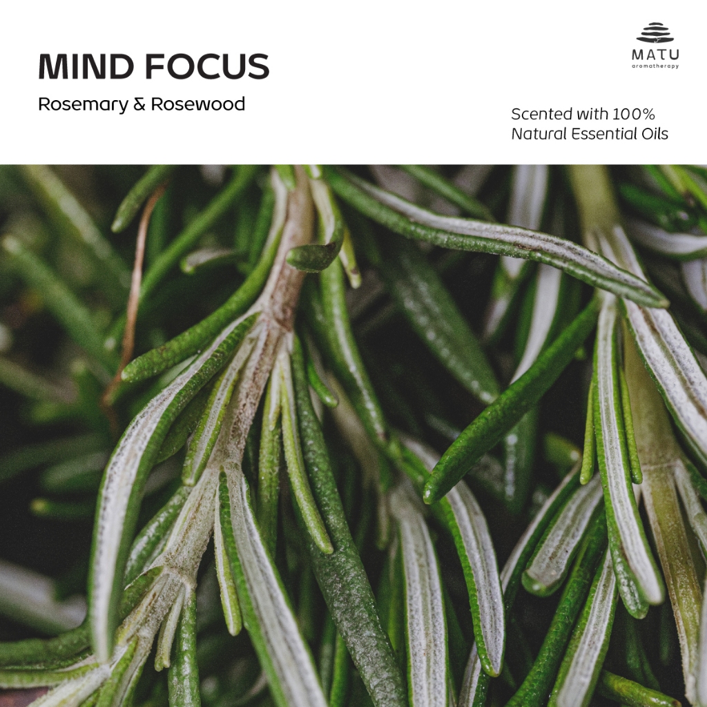 MATU กลิ่น MIND FOCUS จาก Essential Oil 100%