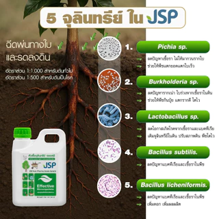 JSP EM หัวเชื้อจุลินทรีย์เข้มข้น ขนาด 1 ลิตร ช่วยฟื้นฟูดิน บำรุงต้น บำรุงราก บำรุงใบ เพิ่มผลผลิต