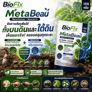 BioFix MetaBeau เมธาไรเซียม ผสม บิวเวอร์เรีย 50g. 100g.