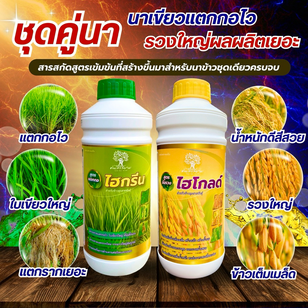 ชุดคู่นา ไฮกรีน+ไฮโกลด์ สูตรพรีเมียม ข้าวเเตกกอไวใบเขียวเข้ม ออกรวงสุด รากเยอะ ข้าวเมล็ดใหญ่ น้ำหนักดี สีสวย รวงใหญ่ยาว