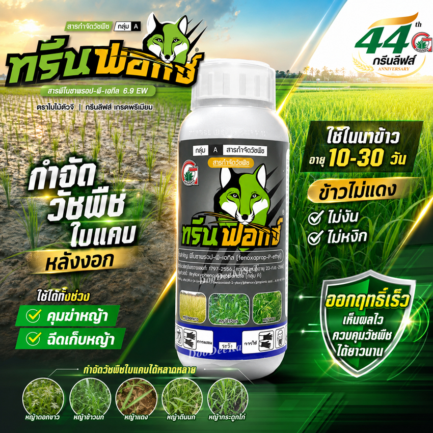 ทรีนฟอกซ์ 500 ซีซี ฟีโนซาพรอฟ-พีเอทิล กำจัดวัชพืชใบแคบในนาข้าว 10-30 วัน เช่น ข้าวนก ลิเก กระดูกไก่ ดอกขาว หญ้าแเดง