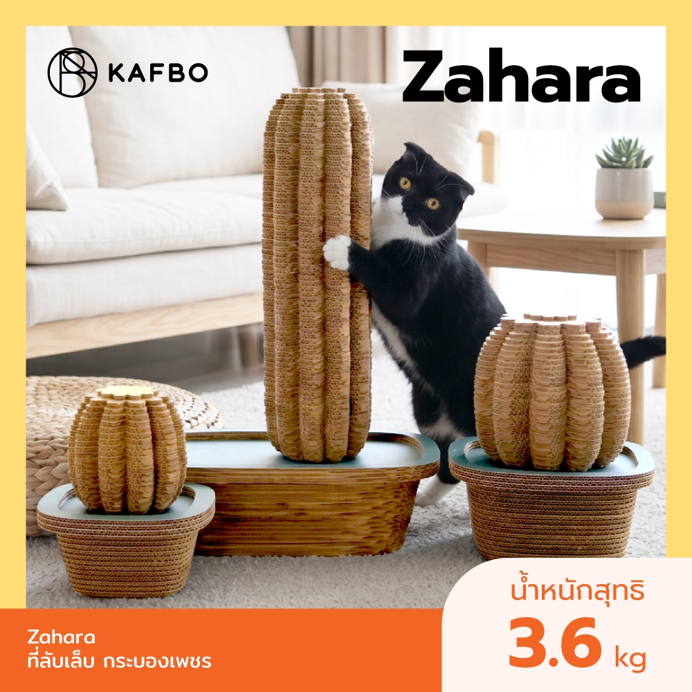 KAFBO Zahara ที่ลับเล็บกระบองเพชร ที่ข่วนเล็บแมว ของเล่นแมว ที่นอนแมว