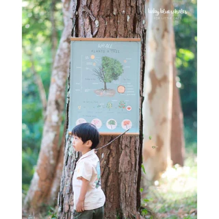 ไม้แขวนโปสเตอร์ (แม่เหล็ก) / Magnetic Frame Wood Poster Hanger Frame By baby blue whales