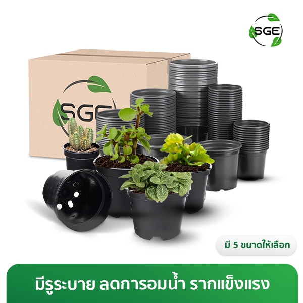 SGE กระถาง กระถางต้นไม้ รุ่น POT-C ทนทาน ไม่แตกหักง่าย กระถางดำ ถูกที่สุด ของแท้จาก SGE แพ็ค 100 ใบ