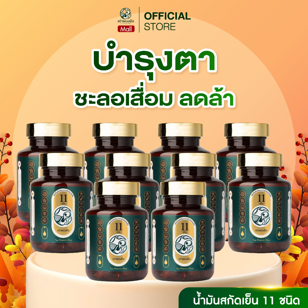 [เซ็ตฟื้นฟูดวงตา] เต่าพนมมือ 10 กระปุก บำรุงตา ชะลอเสื่อม ลดล้า