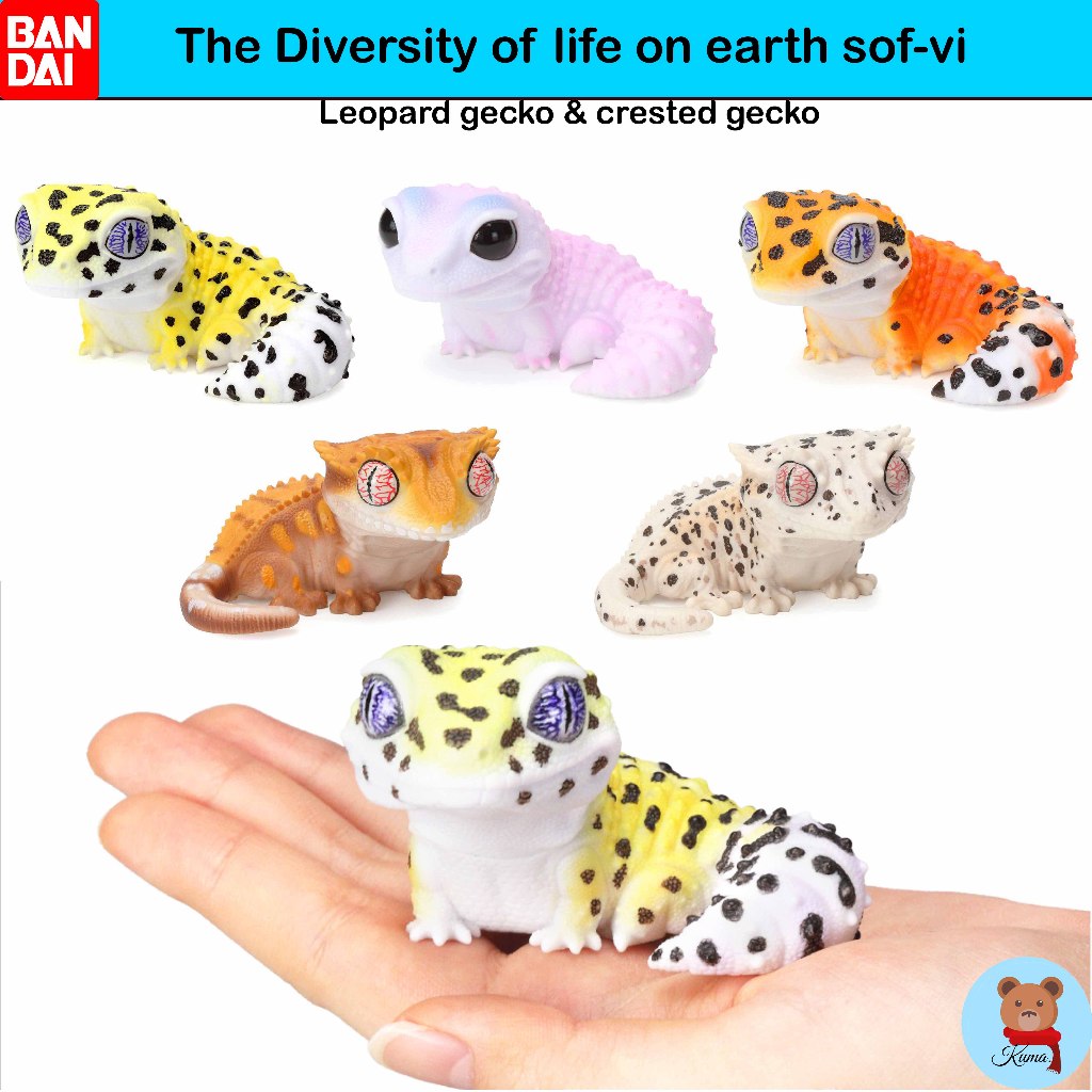 ✅The Diversity of Life on Earth SOF-VI Collection Leopard Gecko & Crested Gecko Bandai Gashapon 🇯🇵โม