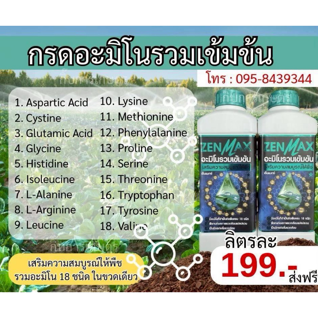 (Z1) ZENMAX อะมิโนรวม18 ชนิด ส่งฟรีทั่วประเทศ