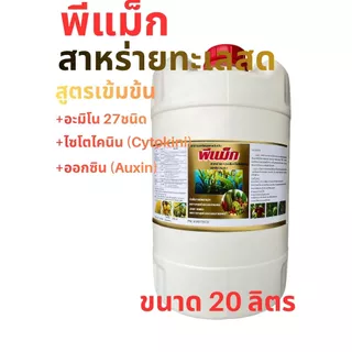 สาหร่ายอะมิโน 🌿20 ลิตร+ จิ๊บ+ไซโตไคนิน( พีแม็ก )สูตรเข้มข้น💯 ช่วยการเปิดตาดอก การติดผล ลดการหลุดร่วงของดอกและผล