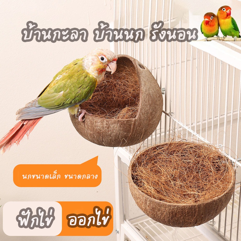 กะลามะพร้าวสำหรับทำรังนอนนก ออกไข่ ฟักไข่ ทำรัง ที่นอนนก บ้านนก บ้านนกกรงหัวจุก นกหงส์หยก ฟอพัส เลิฟเบิร์ด