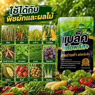 แบล็คไบโอพลัส สาหร่ายดำเข้มข้น ตัวช่วยให้พืชทุกชนิดโตไว ใบเขียว