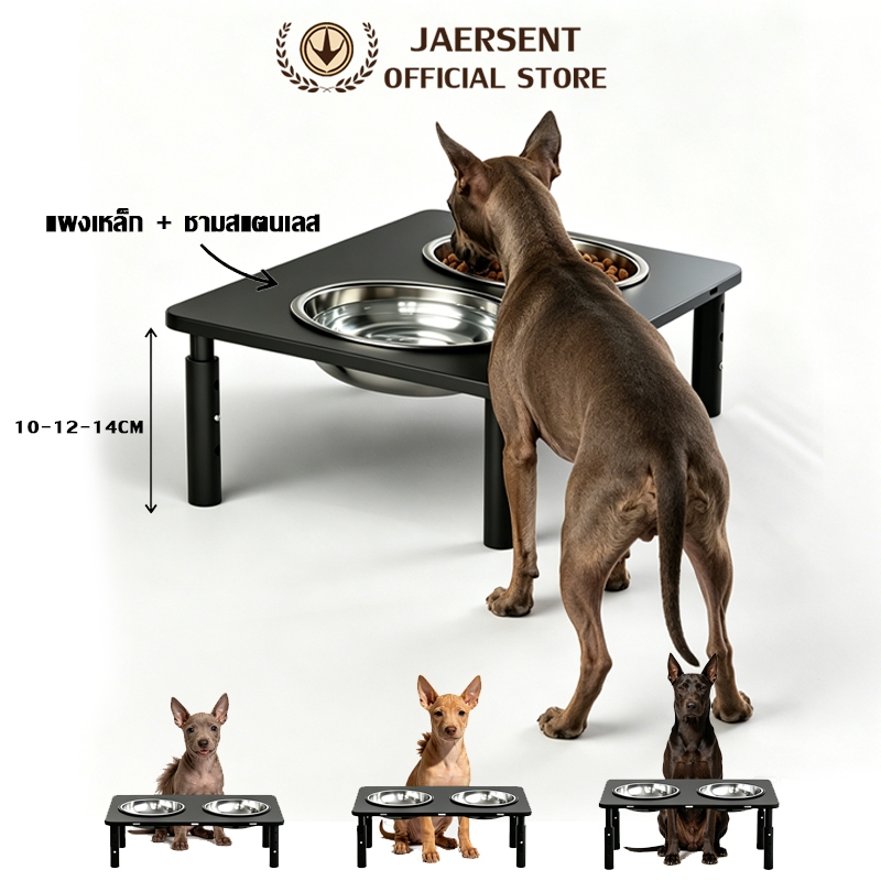 JAERSENT ชามอาหารสุนัข ชามอาหาร สเตนเลส ปรับได้ 3 ระดับ (10/12/14cm) พร้อมขาตั้ง สําหรับสัตว์เลี้ยง สุนัข แมว