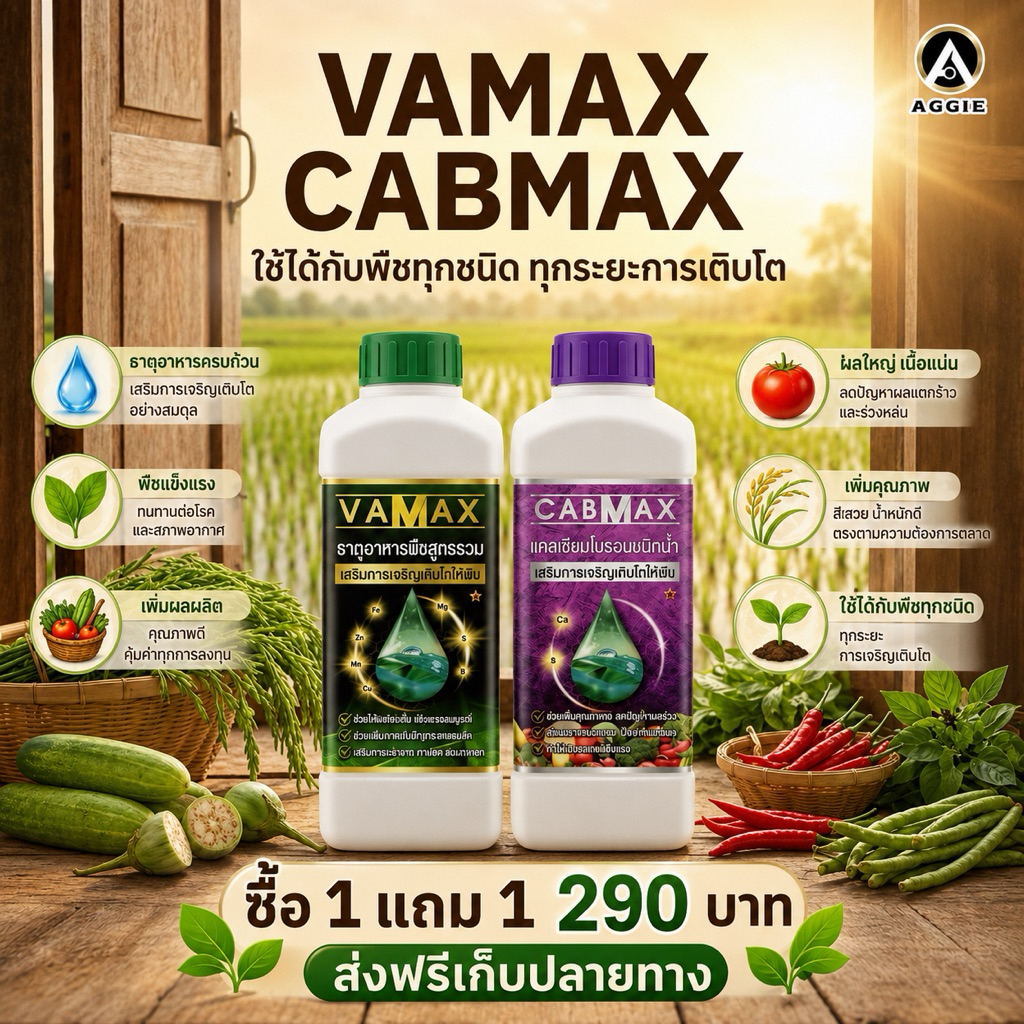 ปุ๋ย CABMAX และ VAMAX จัดโปรสุดคุ้มพิเศษ 1แถม1 ราคาพิเศษ290บาท ส่งฟรีทั่วไทย (C1+V1)