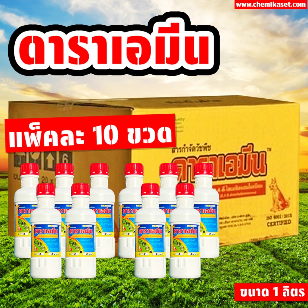 (แพ็ค10ขวด) ดาราเอมีน ขนาด 1 ลิตร ส่งด่วน