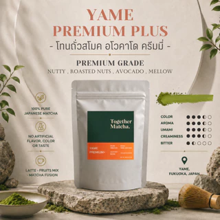 YAME MATCHA โทนถั่วละมุน | เกรด Extra Premium / Premium มัทฉะแท้ 100% จากเมืองยาเมะ ญี่ปุ่น Together Matcha