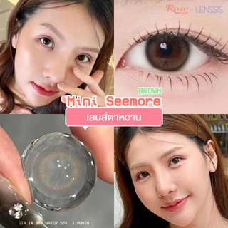 [ของแท้] Rozelens รุ่น Mini See More มินิซีมอล เลนส์ตาฟิวเตอร์ เป็นธรรมชาติ