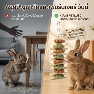 PETLUSCI® โมบาย ของเล่นลับฟัน ของเล่นกระต่าย ไม้ลับฟันกระต่ายและคุ้กกี้หญ้า ของเล่นกระต่าย โมบายไม้แอปเปิ้ล ไม้ไผ่หวาน