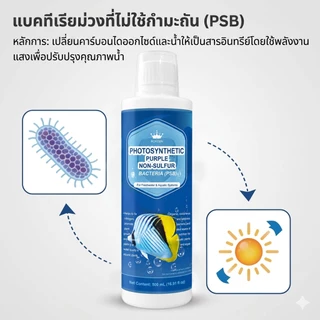 จุลินทรีย์ดูแลสมดุลในระบบน้ำ อ่างปลา ตู้ไม้น้ำ บำรุงปลา บำรุงต้นไม้น้ำ สังเคราะห์แสง PSB สารสกัดจากยีส | living Inside