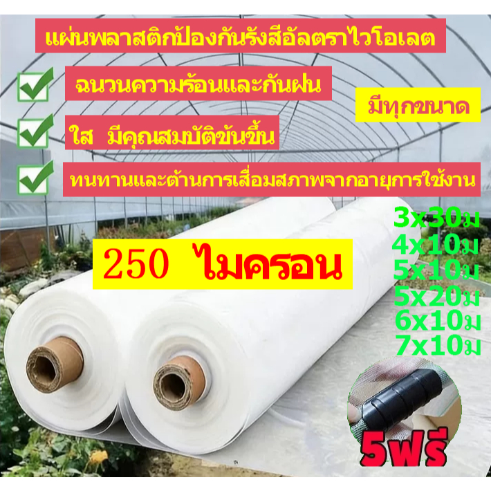 🔥ของขวัญฟรี🔥พลาสติกคลุมโรงเรือน พลาสติกPE 180/200/250 ไมครอน uv15% ขนาด ทนทาน โรงเรือนเพาะปลูก คุณภาพสูง