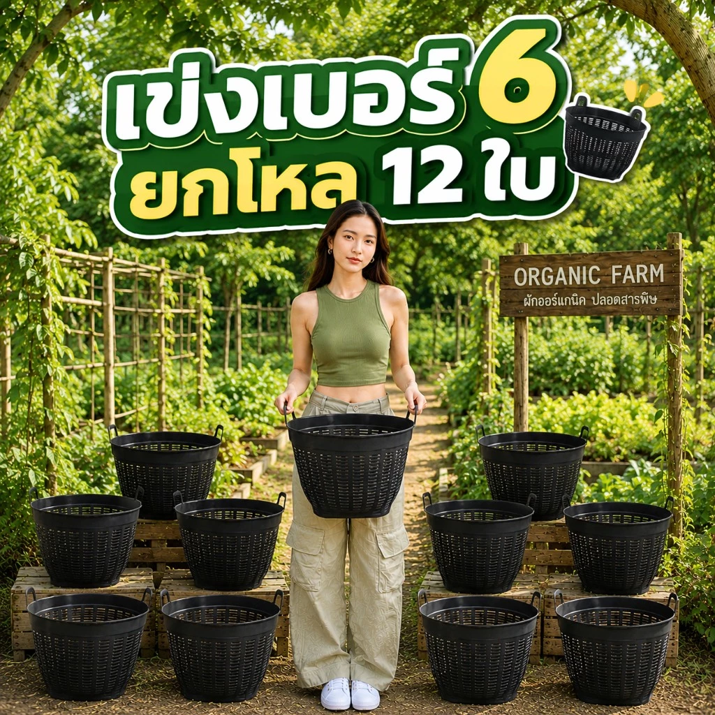 ยกโหล 12 ใบ เข่งพลาสติก เข่งเบอร์ 6 เข่งผลไม้ เข่งปลูกต้นไม้ #เบอร์6