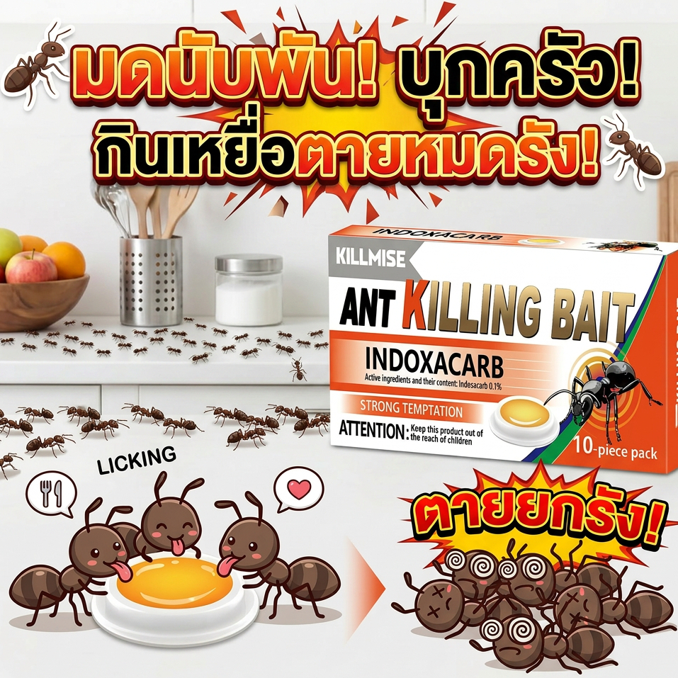 🏠🐜กำจัดมดทั้งบ้านง่ายๆ🐜กำจัดมด ยาฆ่ามด ไล่มด เหยื่อมด สูตรญี่ปุ่นอัปเกรดใหม่ล่าสุด เพียงเม็ดเดียวเห็นผล 1 กล่อง 10 เม็ด