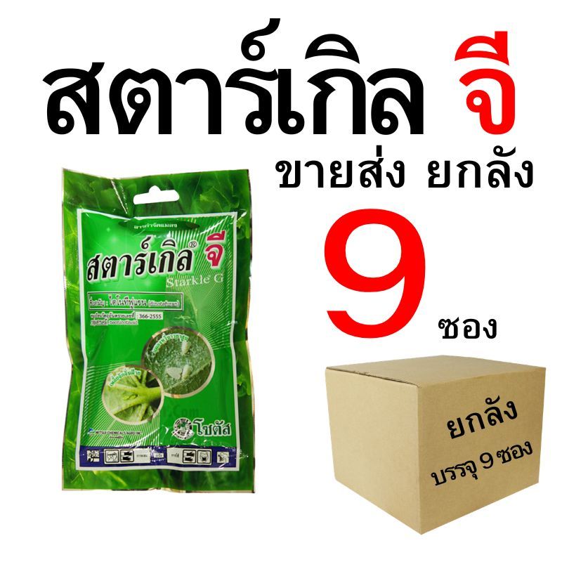 เซ็ท สตาร์เกิล จี โซตัส 100 กรัม ปลีก 1-9