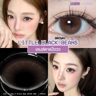 [ของแท้] คอนแทคเลนส์รายเดือน LULOO รุ่น Little Black Beans Brown ลิตเติ้ลแบล็คบีน บราวน์ ตาแบ๊ว สไตล์พ