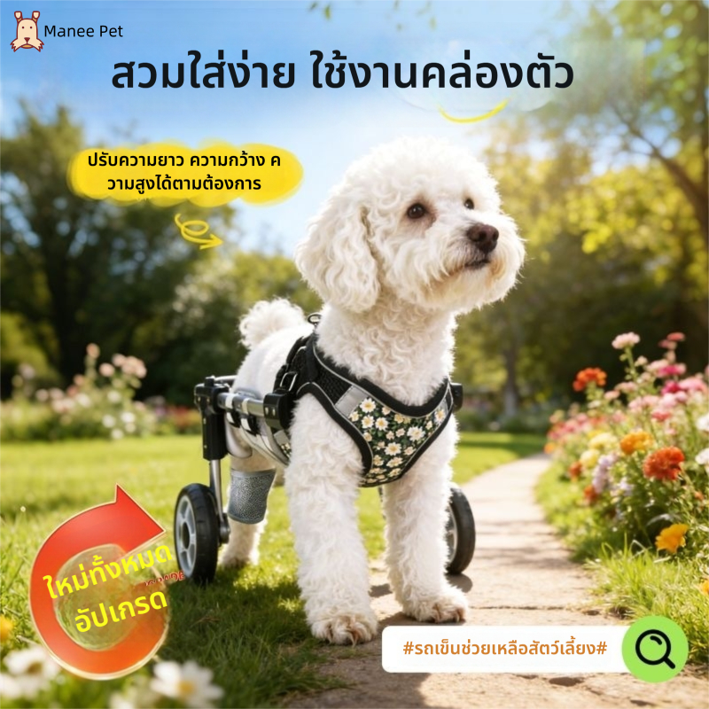 รถเข็นสุนัขเลี้ยง, สกูเตอร์สุนัขแมว, แมวอัมพาต, รถเข็นสัตว์พิการ, รถเข็นฟื้นฟูแขนหลัง, สำหรับบ้านและกลางแจ้ง
