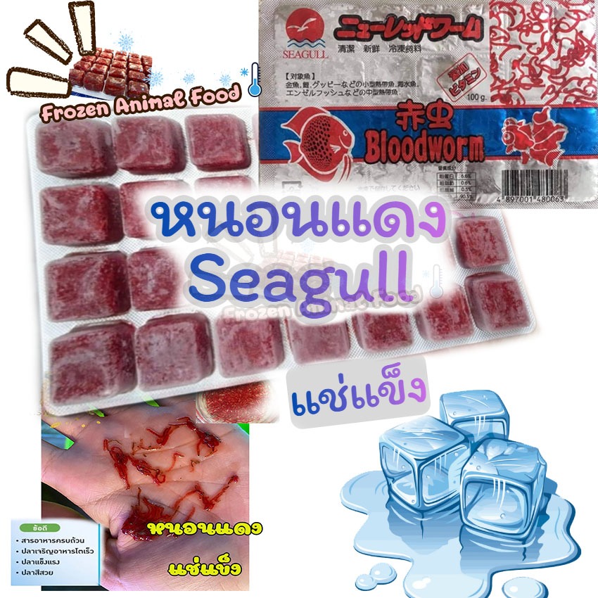 กดสั่งซื้อในตัวเลือก ชุด 1-3 แผ่น หนอนแดงแช่แข็ง Seagull  + แถมฟรี ! ถุงเก็บความเย็น เจลเย็น อาหารปลา อาหารสัตว์น้ำ