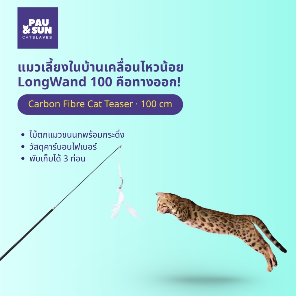 CatSlaves LongWand 100 cm. ไม้ตกแมวคาร์บอนไฟเบอร์ ไม้ล่อแมวขนนก พับเก็บได้