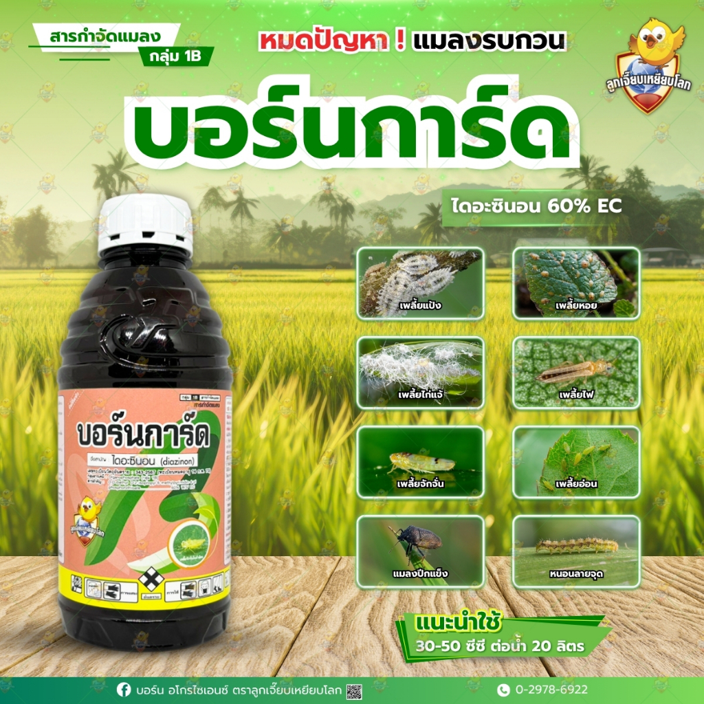 บอร์นการ์ด ขนาด 1ลิตร ไดอะซินอน 60% EC อัตราใช้ 40-50 ซีซี / น้ำ20ลิตร สูตรเข้มข้น