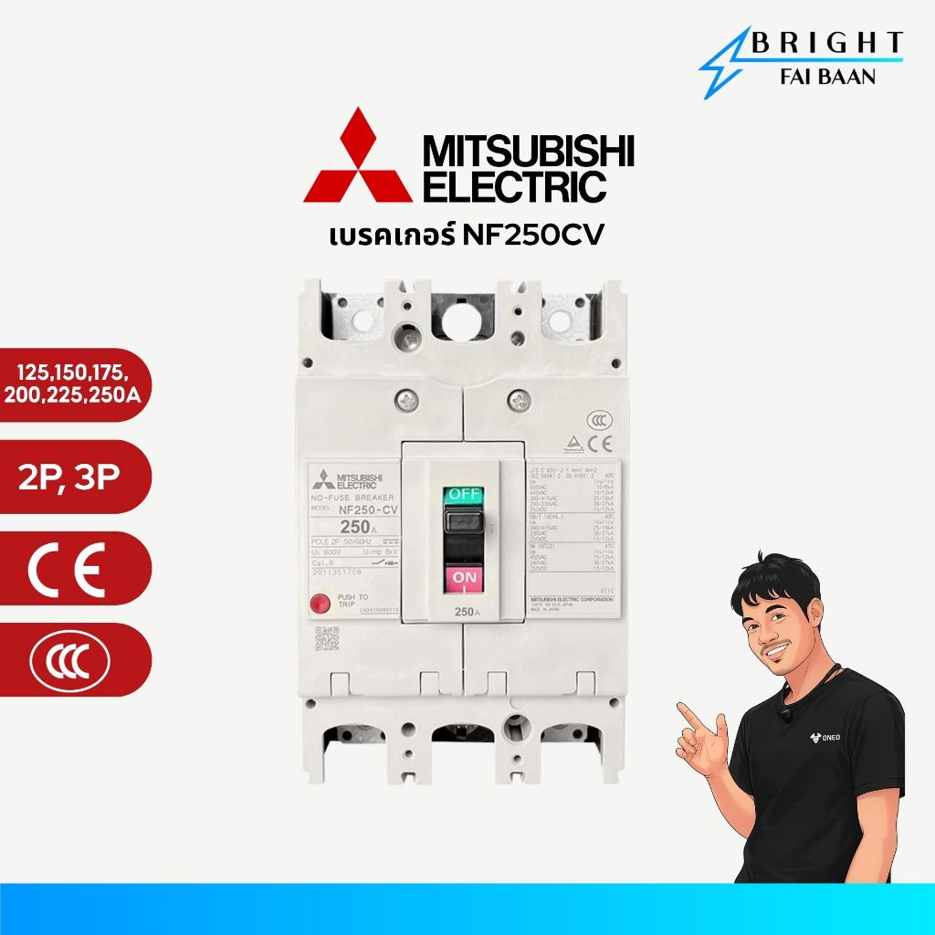 MITSUBISHI เบรกเกอร์ MCCB NF250CV 2P, 3P 125/150/175/200/225/250A